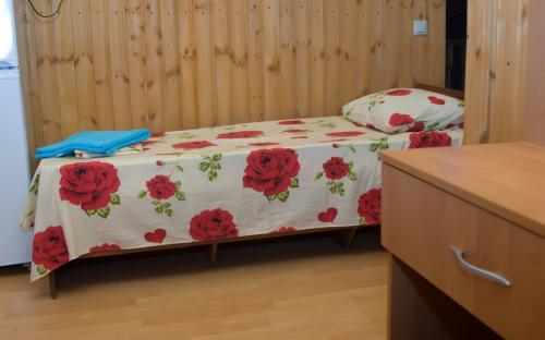 3-местный номер, База отдыха "Весна" Джемете