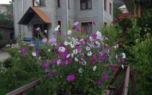 Частный мини-отель "Antik-Hotel" Солнечногорское