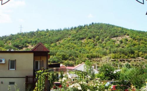 Частный мини-отель "Antik-Hotel" Солнечногорское