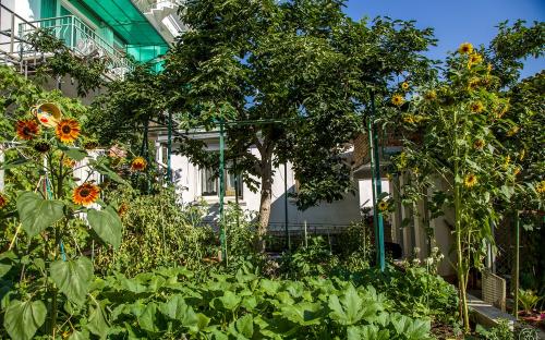 Гостевой дом "У Афанасия" Алушта
