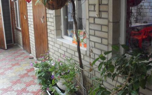Гостевой дом "Светлана" Анапа