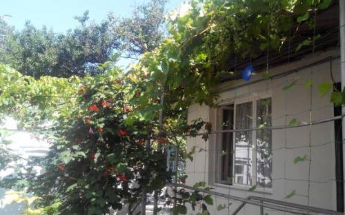 Частный сектор на ул. Трудящихся 189 Анапа