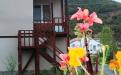 Этаж в коттедже, Частный мини-отель "Antik-Hotel" Солнечногорское
