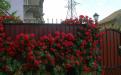 Мини-гостиница "Терем*ОК, Теремок" - Феодосия