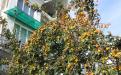 Гостевой дом "У Афанасия" Алушта